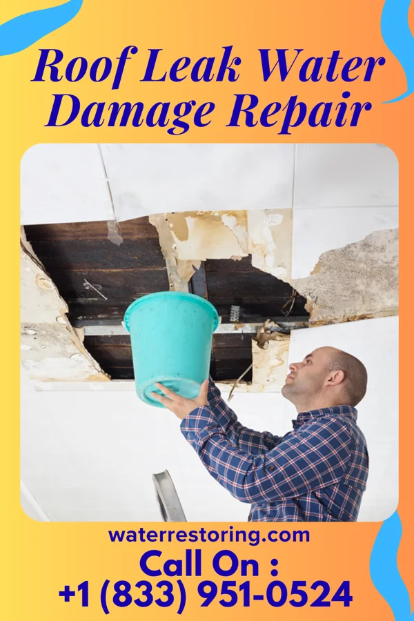 Roof Leak Water Damage Repair in Mountain Iron, MN