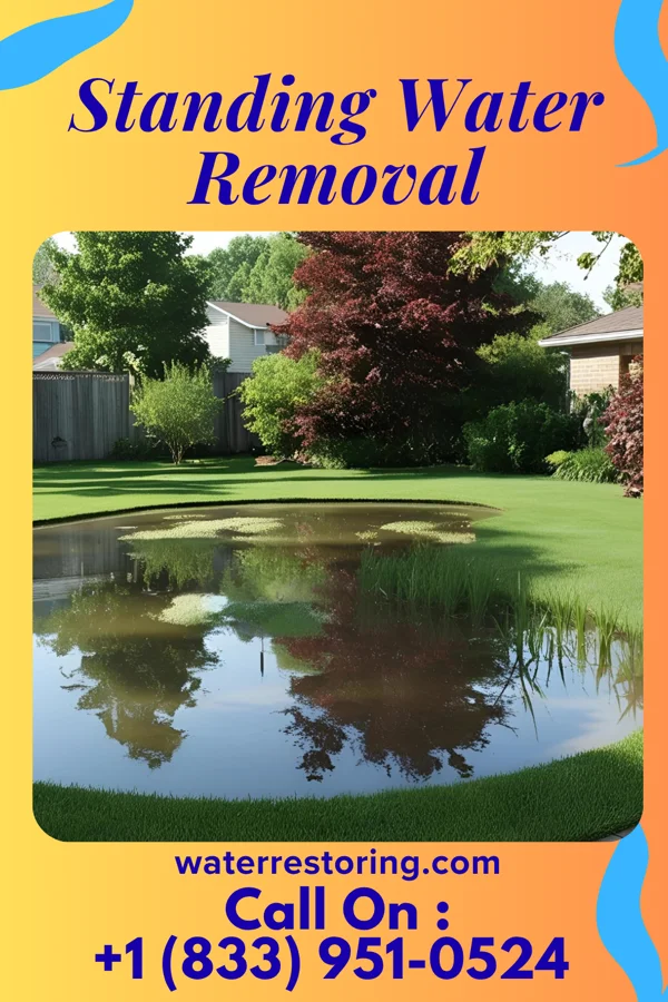 Standing Water Removal in Mountain Iron, MN